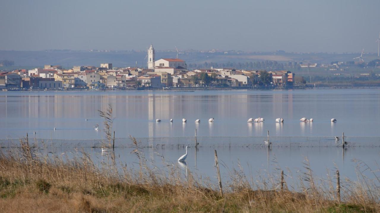 L'Isola Aer B&B Lesina Bagian luar foto